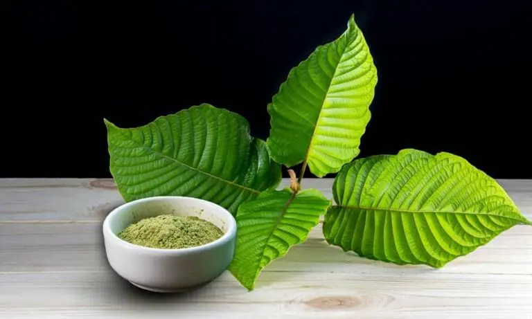 How To Make Kratom Capsules 