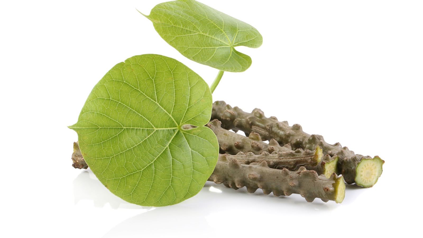  Potential Benefits Of Kava